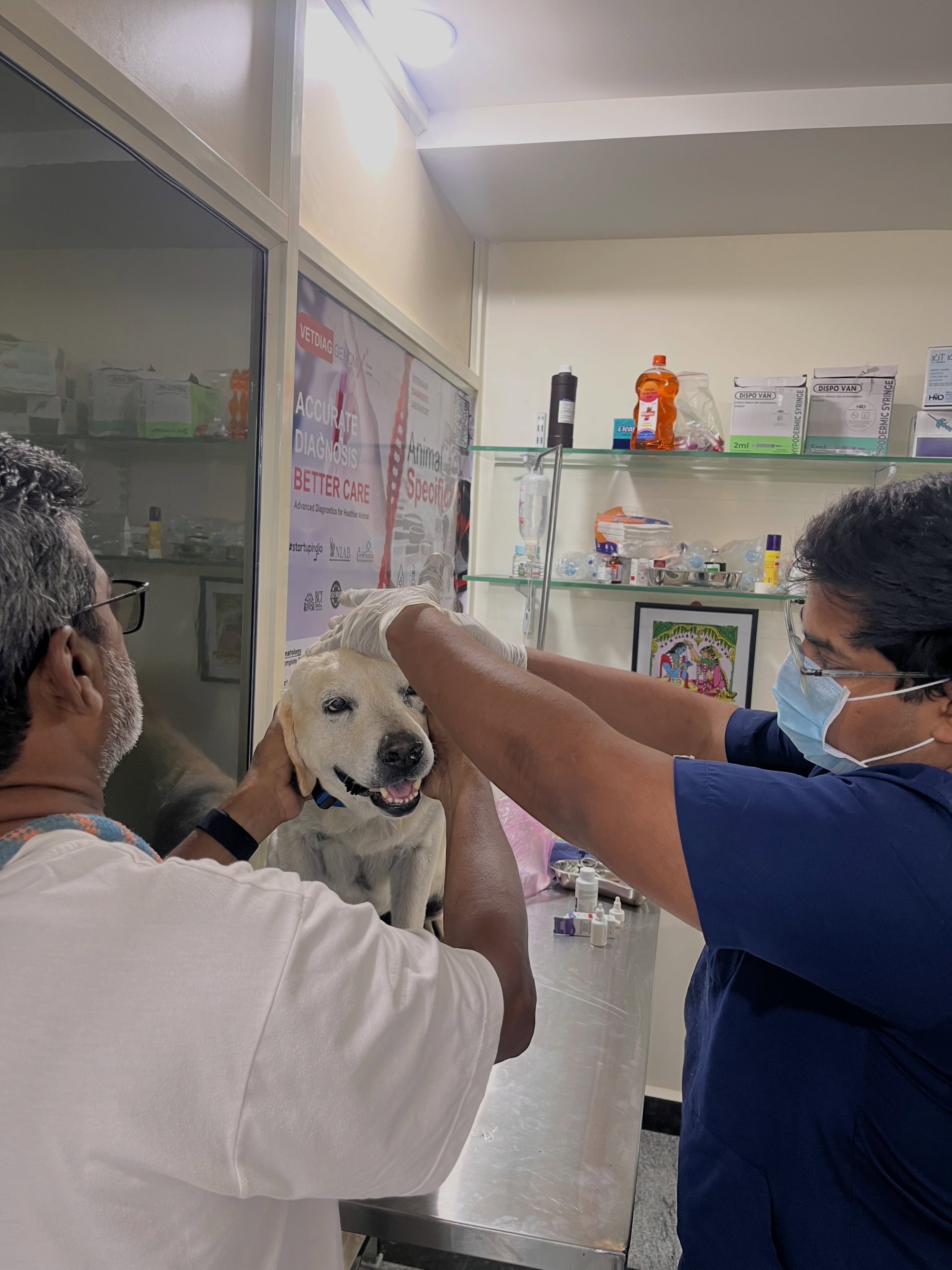 Dr. Manideep Gunukula and a helper gently examining a dog's ears at Usha Veterinary Hospital, Vijayawada